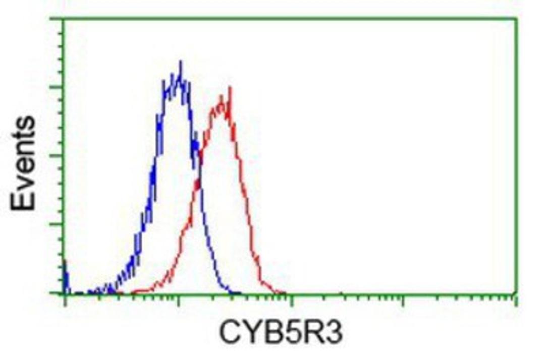 Flow Cytometry: CYB5R3 Antibody (2A10) [NBP2-02705] - Analysis of Jurkat cells, using anti-CYB5R3 antibody, (Red), compared to a nonspecific negative control antibody (Blue).