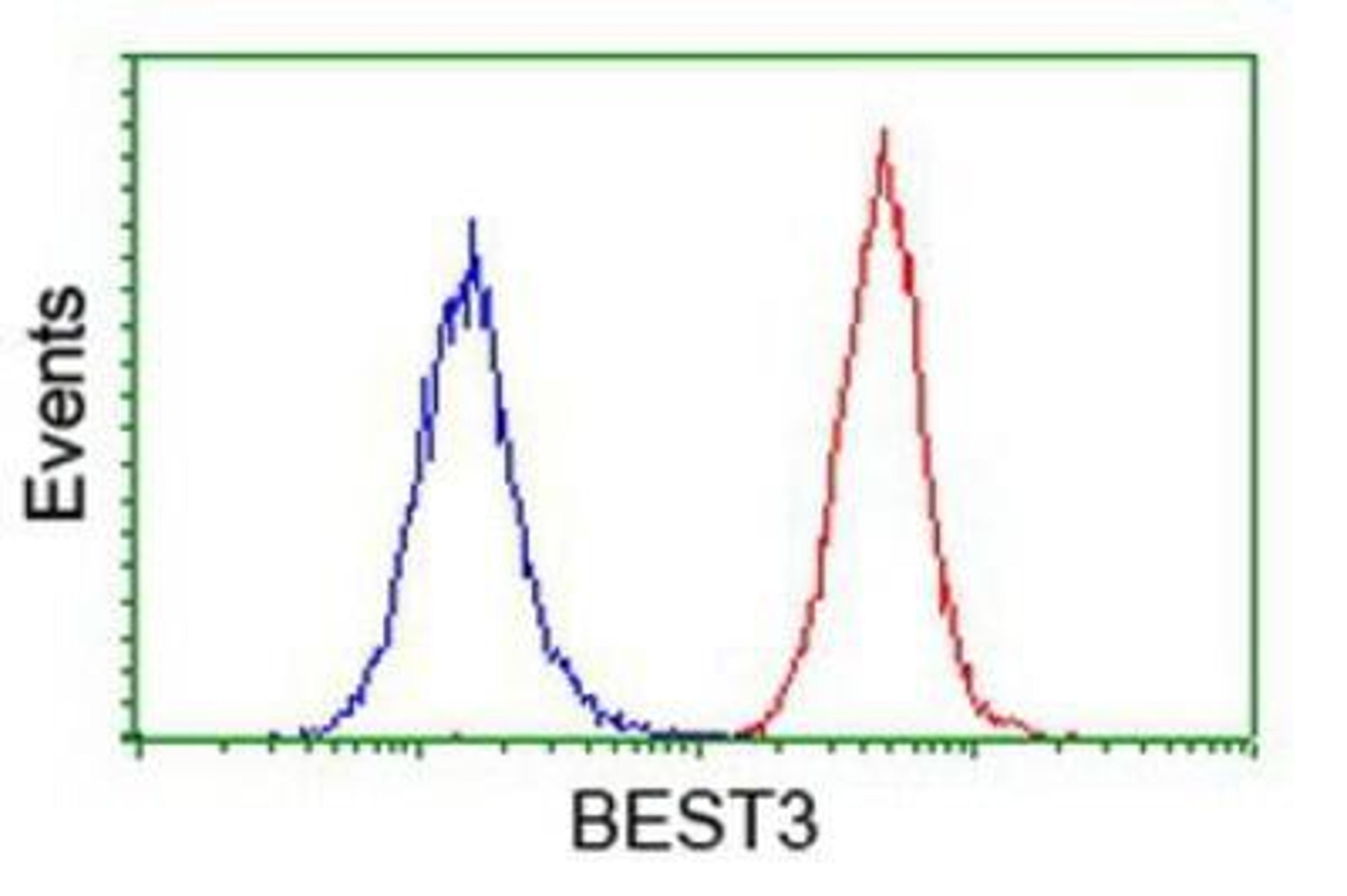 Flow Cytometry: Bestrophin 3 Antibody (2H3) [NBP2-03253] - Analysis of Hela cells, using anti-Bestrophin 3 antibody, (Red), compared to a nonspecific negative control antibody (Blue).