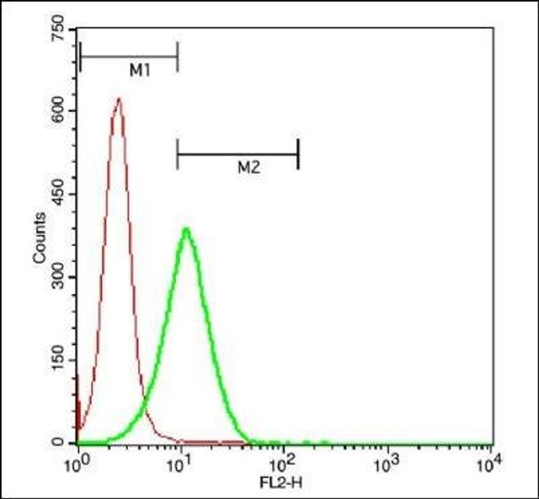 Flow cytometric analysis of U937 cell using stabilin1 antibody.