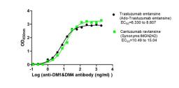The Binding Activity of Trastuzumab emtansine (Ado-Trastuzumab emtansine) and Cantuzumab ravtansine (Synonyms:IMGN242) with Anti-DM1&DM4 antibody. Activity: Measured by its binding ability in a functional ELISA. Immobilized Trastuzumab emtansine (Ado-Trastuzumab emtansine) and Cantuzumab ravtansine (Synonyms:IMGN242) at 2 μg/mL can bind Anti-DM1&DM4 antibody, the EC<sub>50</sub> is 6.330 to 8.807 ng/mL and 10.49 to 15.04 ng/mL, respectively.