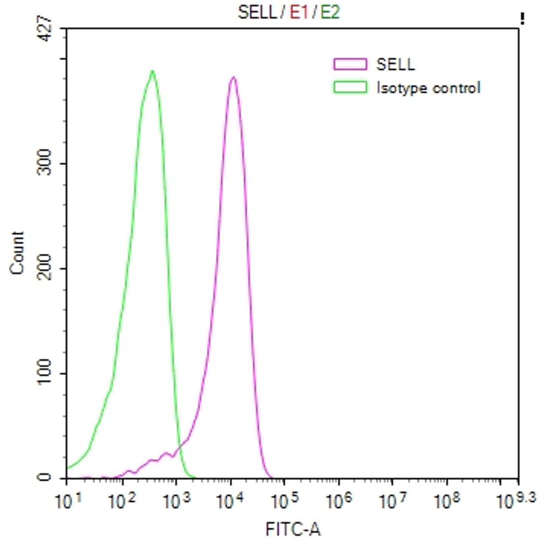 Overlay Peak curve showing Jurkat cells stained with CSB-RA020977MA1HU (red line) at 1:100. Then 10% normal goat serum to block non-specific protein-protein interactions followed by the antibody (1ug/1*10<sup>6</sup>cells) for 45min at 4℃. The secondary antibody used was FITC-conjugated Goat Anti-human IgG(H+L) at 1:200 dilution for 35min at 4℃.Control antibody (green line) was human IgG (1ug/1*10<sup>6</sup>cells) used under the same conditions. Acquisition of >10,000 events was performed.