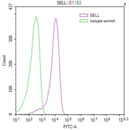 Overlay Peak curve showing Jurkat cells stained with CSB-RA020977MA1HU (red line) at 1:100. Then 10% normal goat serum to block non-specific protein-protein interactions followed by the antibody (1ug/1*10<sup>6</sup>cells) for 45min at 4℃. The secondary antibody used was FITC-conjugated Goat Anti-human IgG(H+L) at 1:200 dilution for 35min at 4℃.Control antibody (green line) was human IgG (1ug/1*10<sup>6</sup>cells) used under the same conditions. Acquisition of >10,000 events was performed.
