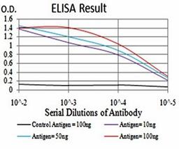 ELISA Black line: Control Antigen (100 ng); Purple line: Antigen(10ng); Blue line: Antigen (50 ng); Red line: Antigen (100 ng)