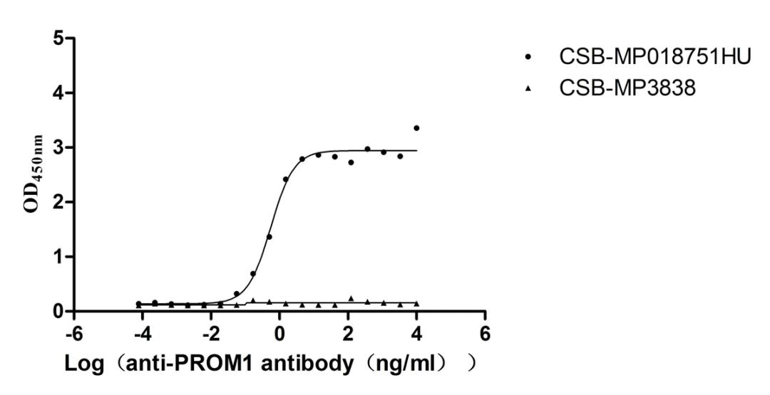 The Binding Activity of PROM1 with Anti-PROM1 recombinant antibody. Activity: Measured by its binding ability in a functional ELISA. Immobilized PROM1 (CSB-MP018751HU(A4)) at 5 μg/mL can bind Anti-PROM1 recombinant antibody, the EC<sub>50</sub> is 0.4322-0.7189 ng/mL.