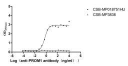 The Binding Activity of PROM1 with Anti-PROM1 recombinant antibody. Activity: Measured by its binding ability in a functional ELISA. Immobilized PROM1 (CSB-MP018751HU(A4)) at 5 μg/mL can bind Anti-PROM1 recombinant antibody, the EC<sub>50</sub> is 0.4322-0.7189 ng/mL.