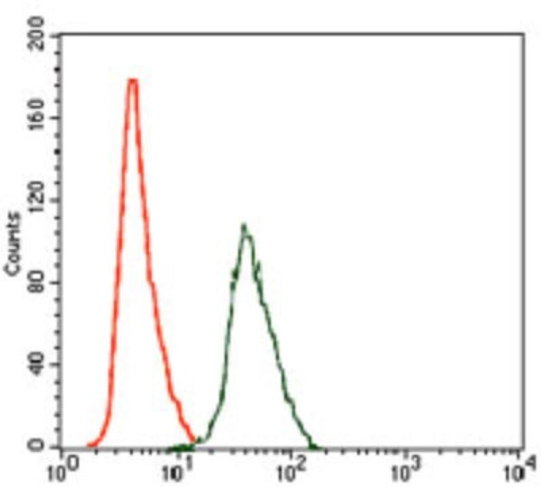 Flow Cytometry: RhoGDI Antibody (2G3) [NBP2-37472] - Flow cytometric analysis of HeLa cells using ARHGDIA mouse mAb (green) and negative control (red).