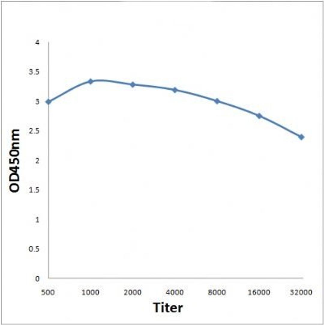 Line graph illustrates about the Ag-Ab reactions using different concentrations of antigen and serial dilutions of PIK3C3 (phospho-Ser164) antibody