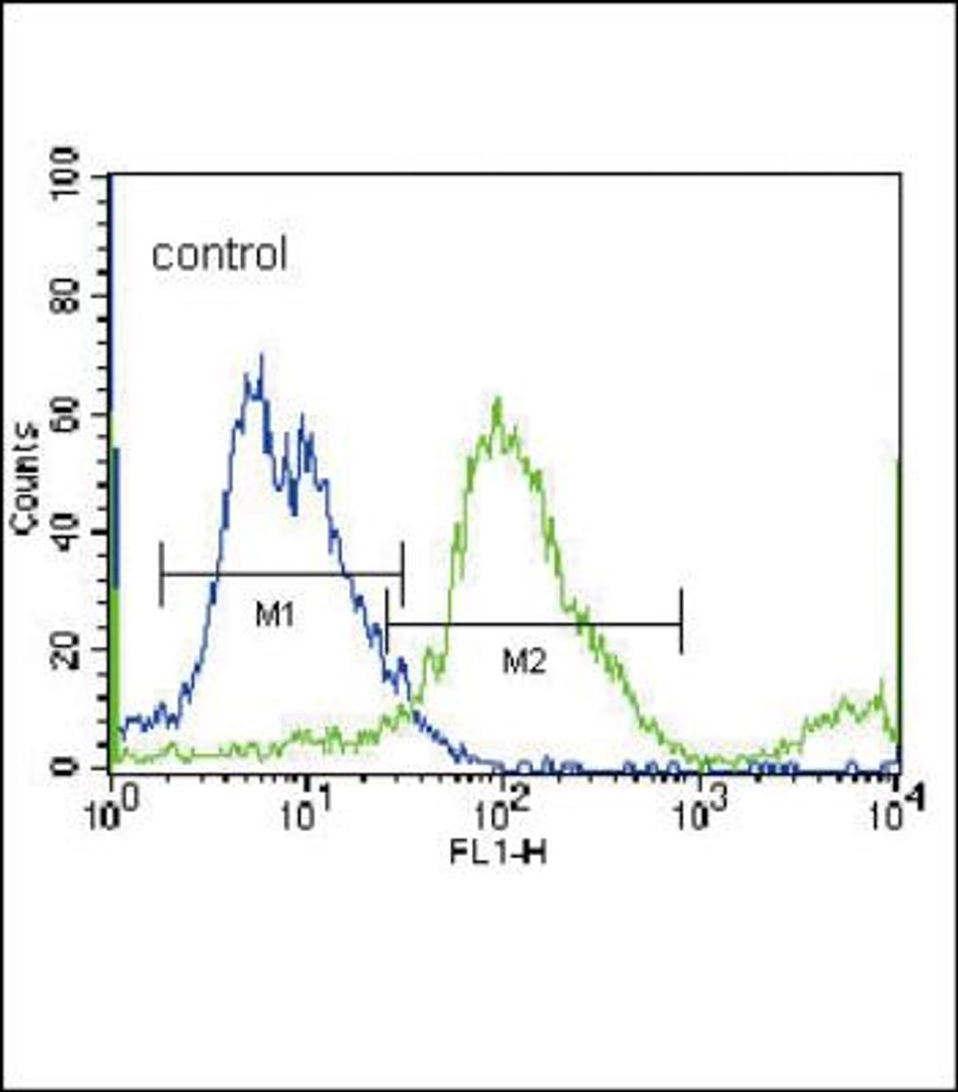 Flow Cytometry: SLC36A1 Antibody [NBP2-30037] - Flow cytometric analysis of NCI-H460 cells (right histogram) compared to a negative control cell (left histogram).FITC-conjugated donkey-anti-rabbit secondary antibodies were used for the analysis.