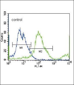 Flow Cytometry: SLC36A1 Antibody [NBP2-30037] - Flow cytometric analysis of NCI-H460 cells (right histogram) compared to a negative control cell (left histogram).FITC-conjugated donkey-anti-rabbit secondary antibodies were used for the analysis.