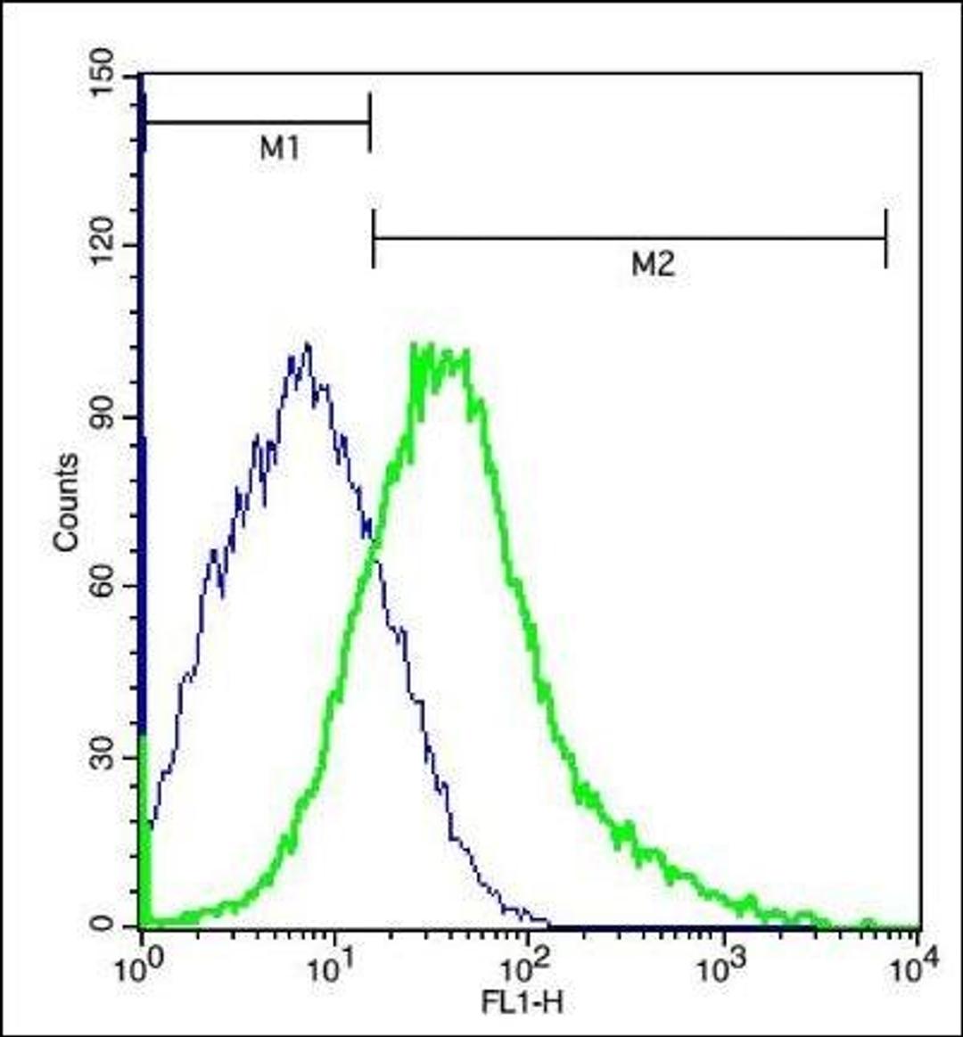 Flow cytometric analysis of (mo)Nephrocyte using GALR2 antibody.