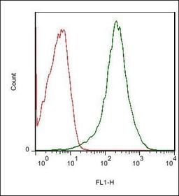 Flow cytometric analysis of Mouse spleen cell using CD39 antibody.