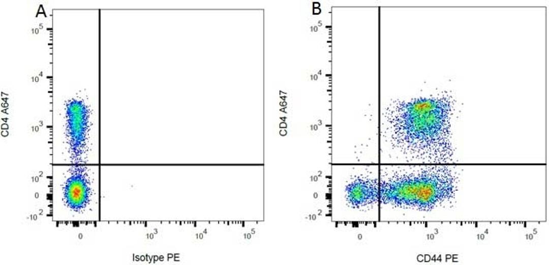 Figure A. Mouse anti Rat CD4. Figure B. Mouse anti Rat CD4 and Mouse anti Rat CD44.