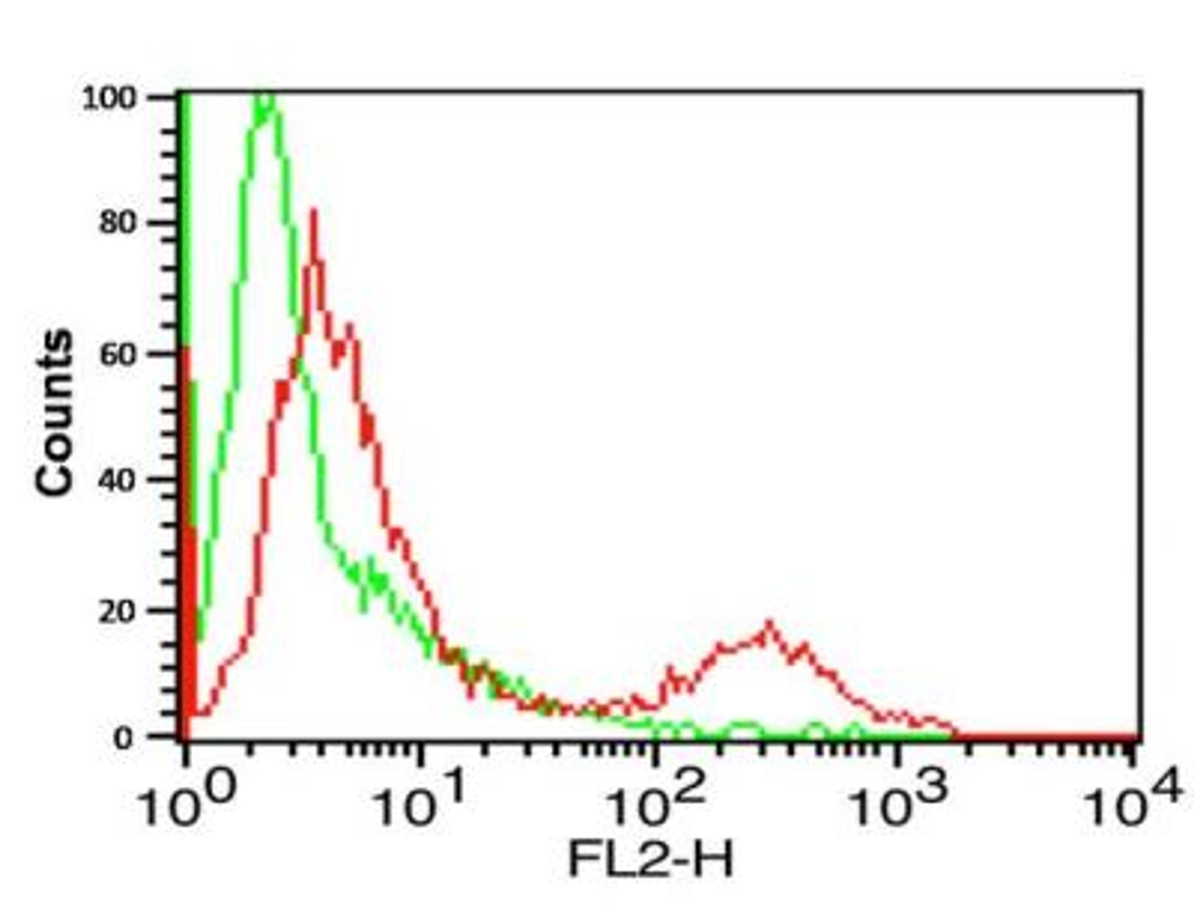 Flow Cytometry: B7-H1/PD-L1/CD274 Antibody [NBP1-76769] - Analysis of A-20 cells using B7-H1/PD-L1/CD274  antibody at 0.5 ug/ml. Green: Isotype control. Red : B7-H1/PD-L1/CD274  antibody.