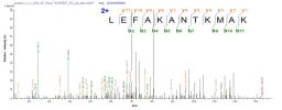Based on the SEQUEST from database of E.coli host and target protein, the LC-MS/MS Analysis result of CSB-EP821892HU could indicate that this peptide derived from E.coli-expressed Homo sapiens (Human) RBPMS.