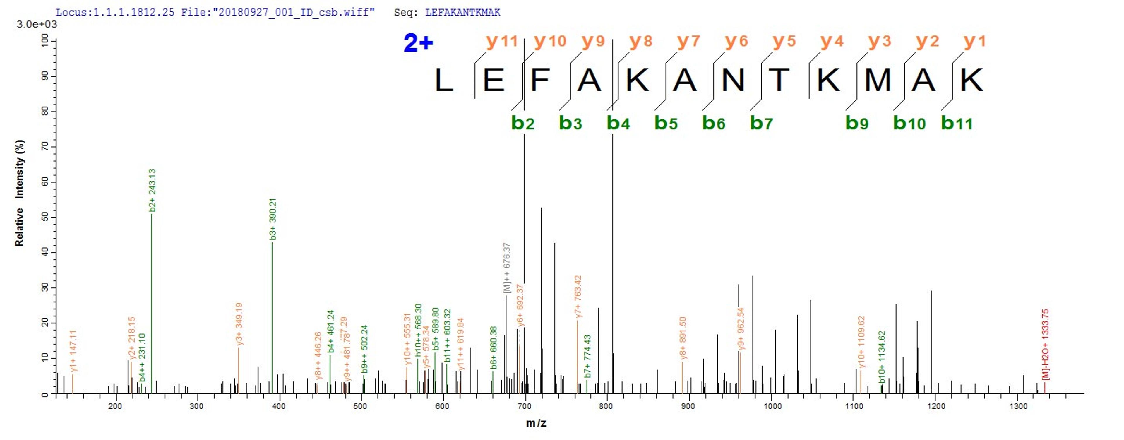 Based on the SEQUEST from database of E.coli host and target protein, the LC-MS/MS Analysis result of CSB-EP821892HU could indicate that this peptide derived from E.coli-expressed Homo sapiens (Human) RBPMS.
