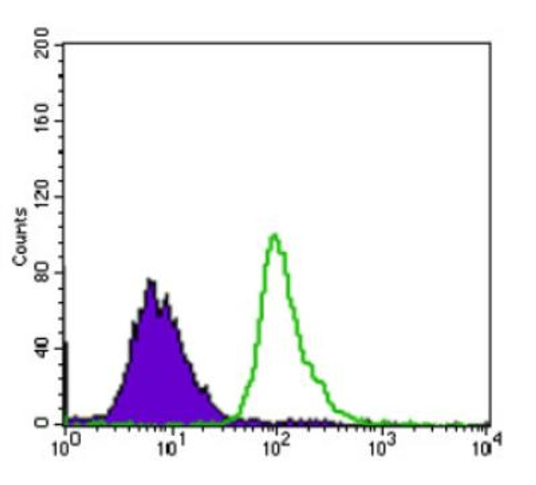 Flow Cytometry: 53BP1 Antibody (6B3E10) [NBP2-25028] - Flow cytometric analysis of HepG2 cells using TP53BP1 mouse mAb (green) and negative control (purple).