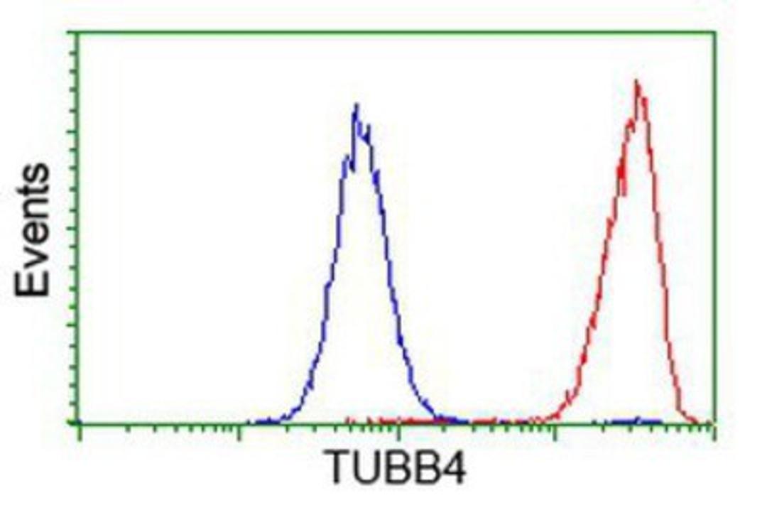 Flow Cytometry: Tubulin Beta 4 Antibody (3F1) [NBP2-00812] - Analysis of Hela cells, using anti-Tubulin Beta 4 antibody, (Red), compared to a nonspecific negative control antibody (Blue).