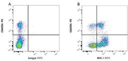 Figure A. mouse anti rat CD45RA. Figure B. mouse anti rat CD45RA and mouse anti rat MHC-I. 