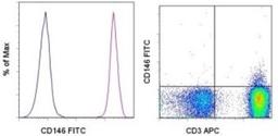 Flow Cytometry: MCAM/CD146 Antibody (P1H12) [NBP1-43346] - Analysis using the FITC conjugate of NBP1-43346. Left: Staining of Human Umbilical Vein Endothelial Cells (HUVEC) with Mouse IgG1 K Isotype Control FITC (blue histogram) or Anti-CD146 FITC (purple histogram). Right: Staining of normal human peripheral blood cells with Anti-Human CD3 APC and Anti-CD146 FITC.