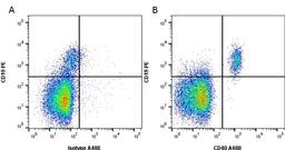 Sandwich ELISA analysis of Human CD40 binding using Mouse anti Human CD40 antibody