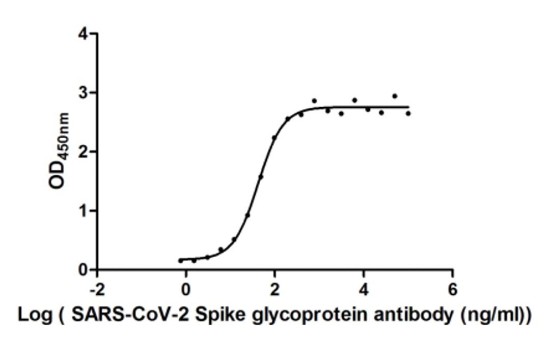 The Binding Activity of SARS-CoV-2-S Antibody with SARS-CoV-2-S<br/>Activity: Measured by its binding ability in a functional ELISA. Immobilized SARS-CoV-2-S (<a href='https://www.cusabio.com/Recombinant-Protein/Recombinant-Human-Novel-Coronavirus-Spike-glycoprotein-S---partial-12928546.html'>CSB-MP3324GMY</a>) at 2 μg/ml can bind SARS-CoV-2-S Antibody, the EC<sub>50</sub> is 42.83 ng/ml.
