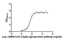 The Binding Activity of SARS-CoV-2-S Antibody with SARS-CoV-2-S<br/>Activity: Measured by its binding ability in a functional ELISA. Immobilized SARS-CoV-2-S (<a href='https://www.cusabio.com/Recombinant-Protein/Recombinant-Human-Novel-Coronavirus-Spike-glycoprotein-S---partial-12928546.html'>CSB-MP3324GMY</a>) at 2 μg/ml can bind SARS-CoV-2-S Antibody, the EC<sub>50</sub> is 42.83 ng/ml.