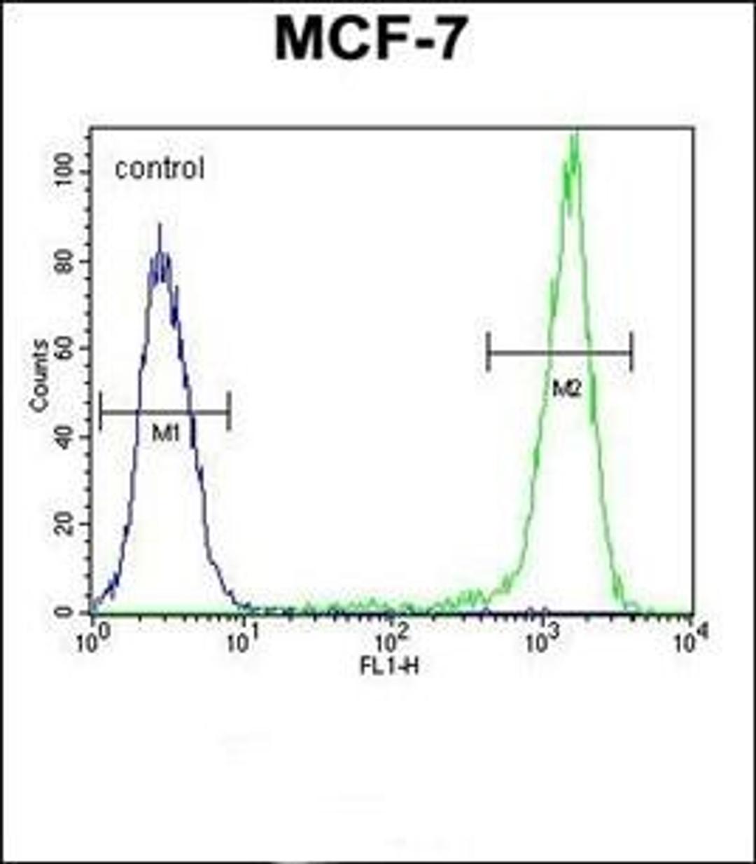 Flow cytometric analysis of MCF-7 cells using SGMS2 antibody (primary antibody dilution at: 1:10-50)