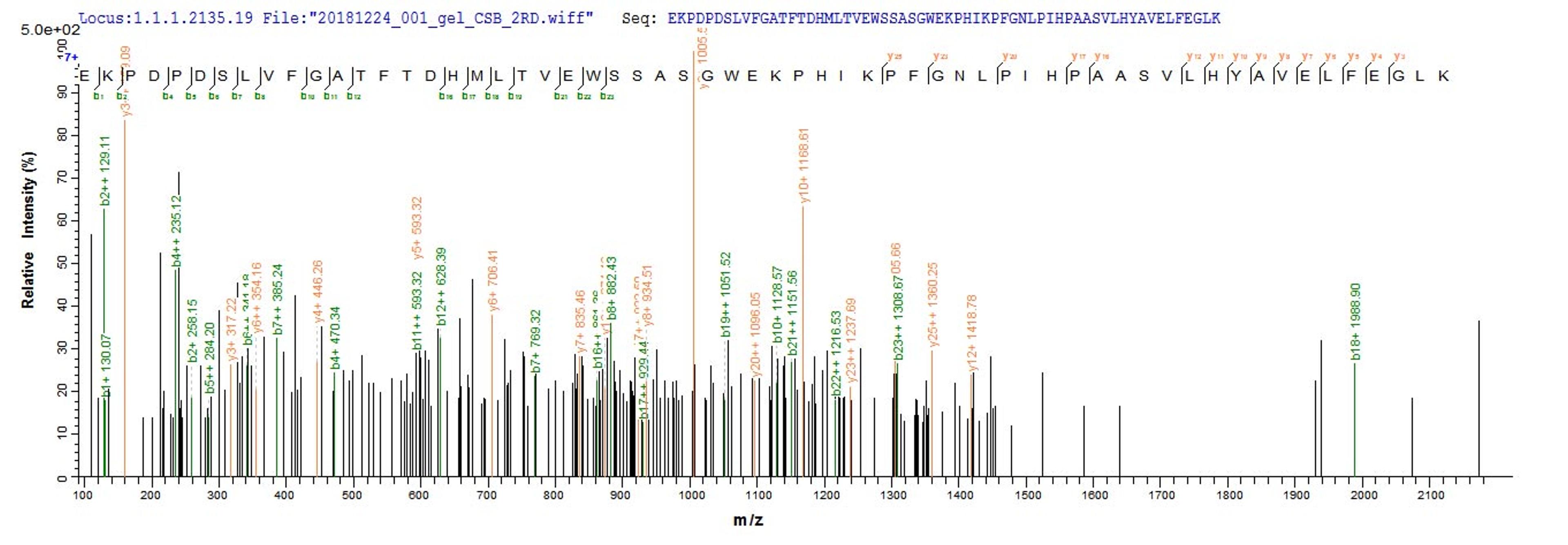 Based on the SEQUEST from database of E.coli host and target protein, the LC-MS/MS Analysis result of CSB-EP002600MO could indicate that this peptide derived from E.coli-expressed Mus musculus (Mouse) Bcat1.