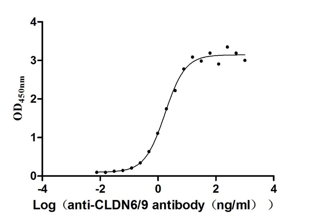 The Binding Activity of Huamn CLDN6 with Anti-CLDN6/9 recombinant Antibody. Activity: Measured by its binding ability in a functional ELISA. Immobilized Human CLDN6 (CSB-MP005508HU(A4)) at 10 μg/mL can bind Anti-CLDN6/9 recombinant antibody, the EC<sub>50</sub> is 1.501-2.035 ng/mL.