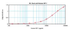 To detect hNP-1 by sandwich ELISA (using 100 ul/well antibody solution) a concentration of 0.25 – 1.0 ug/ml of this antibody is required. This biotinylated polyclonal antibody, in conjunction with ProSci’s Polyclonal Anti-Human NP-1 (XP-5247) as a capture