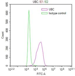 Overlay Peak curve showing MCF7 cells stained with CSB-RA316735MA1HU (red line) at 1:50. Then 10% normal goat serum was Incubated to block non-specific protein-protein interactions followed by the antibody (1µg/1*10<sup>6</sup>cells) for 45 min at 4°C. The secondary antibody used was FITC-conjugated Goat Anti-Mouse IgG(H+L) at 1/200 dilution for 35 min at 4°C. Isotype control antibody (green line) was mouse IgG1 (1µg/1*10<sup>6</sup>cells) used under the same conditions. Acquisition of >10, 022 events was performed.