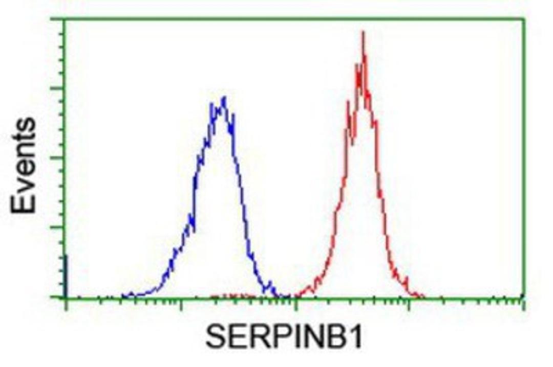 Flow Cytometry: SERPINB1 Antibody (3B4) [NBP2-03828] - Analysis of Jurkat cells, using anti-SERPINB1 antibody, (Red), compared to a nonspecific negative control antibody (Blue).