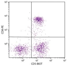 Feline peripheral blood lymphocytes were stained with Mouse Anti-Feline CD5-BIOT (Cat. No. 99-191) and Mouse Anti-Feline CD8-PE followed by Streptavidin-FITC .