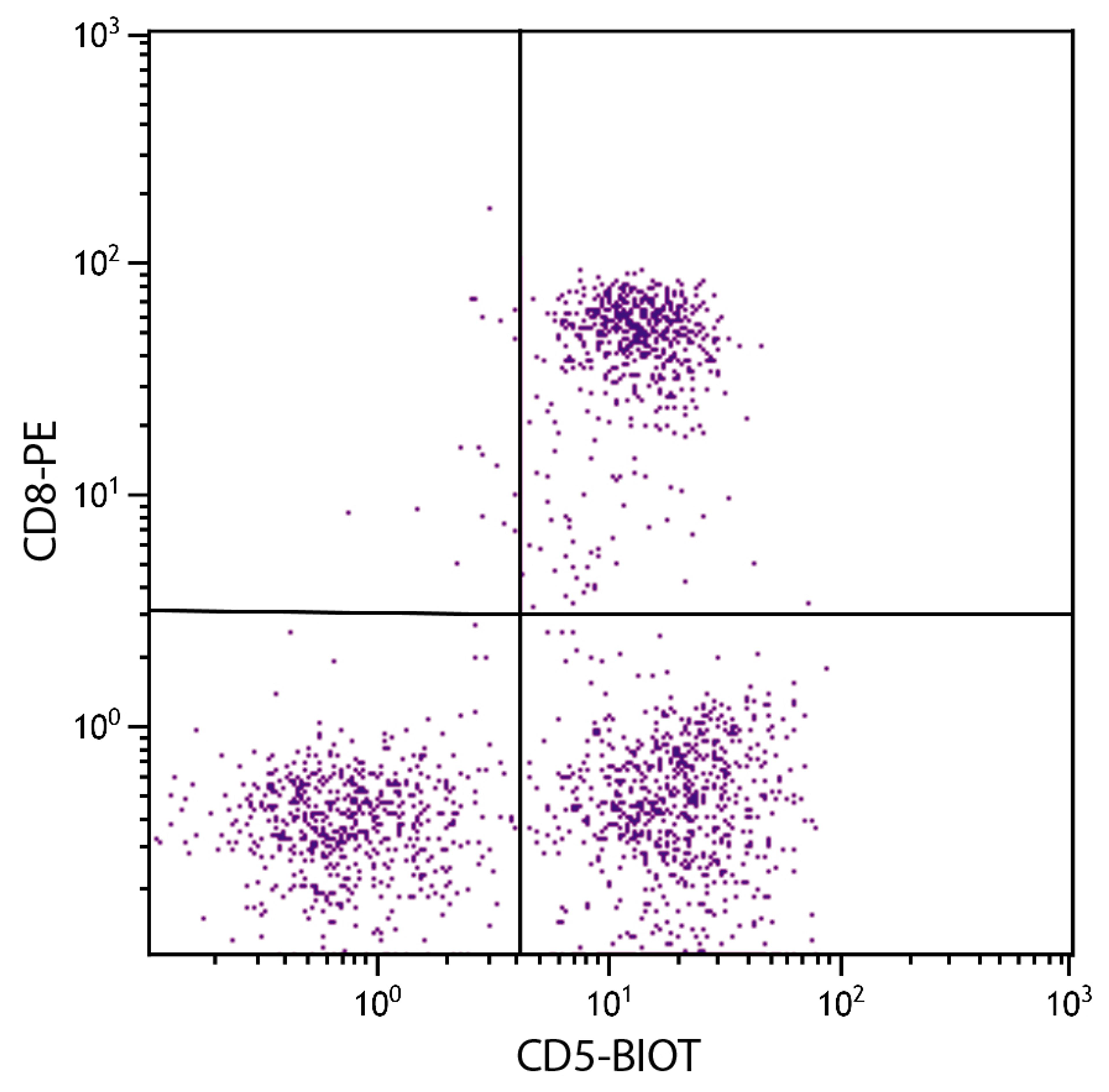 Feline peripheral blood lymphocytes were stained with Mouse Anti-Feline CD5-BIOT (Cat. No. 99-191) and Mouse Anti-Feline CD8-PE followed by Streptavidin-FITC .