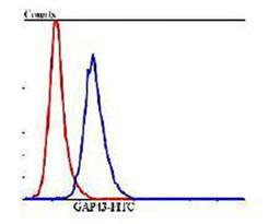 Flow cytometric analysis of SHG-44 cells using GAP43 antibody