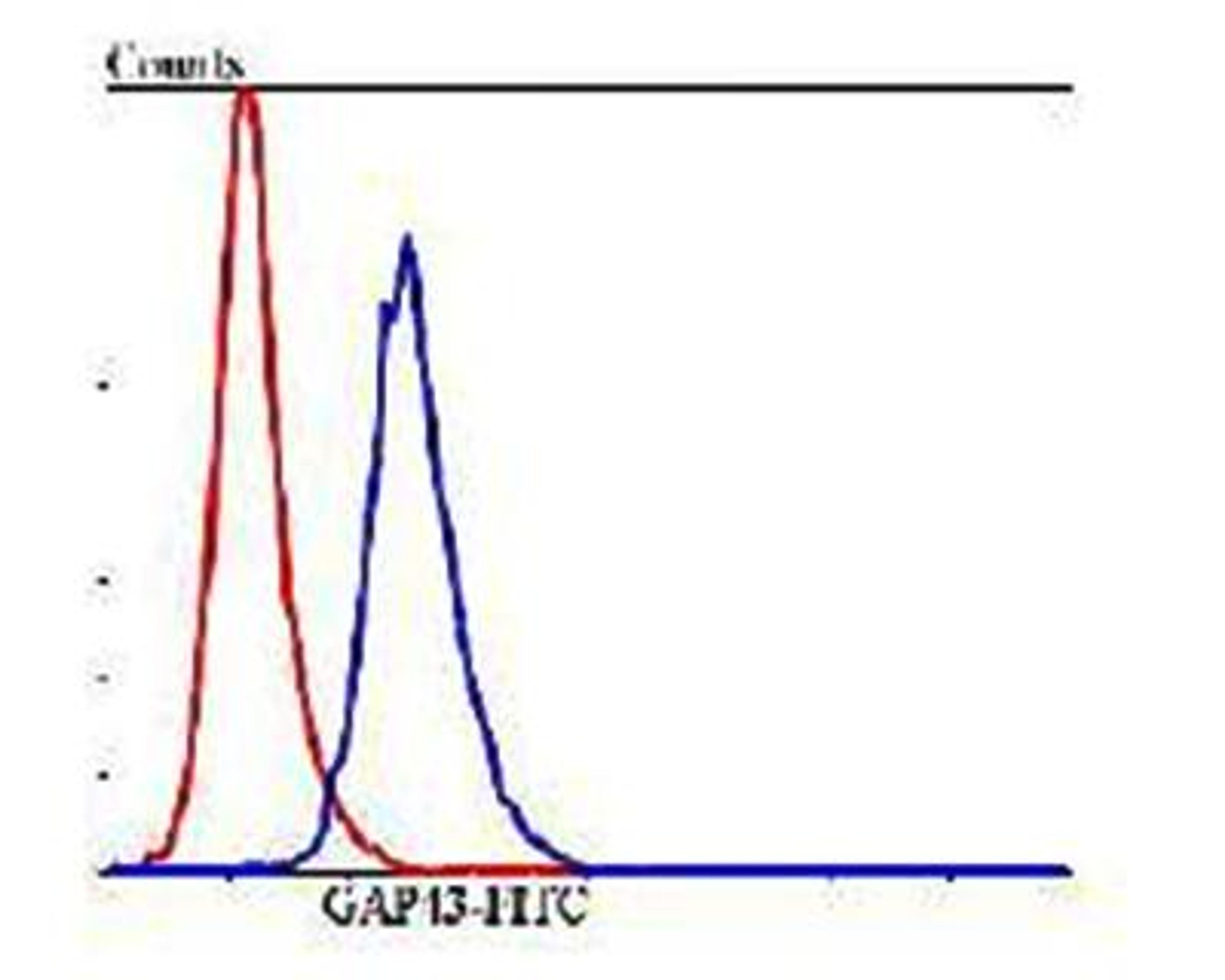 Flow cytometric analysis of SHG-44 cells using GAP43 antibody