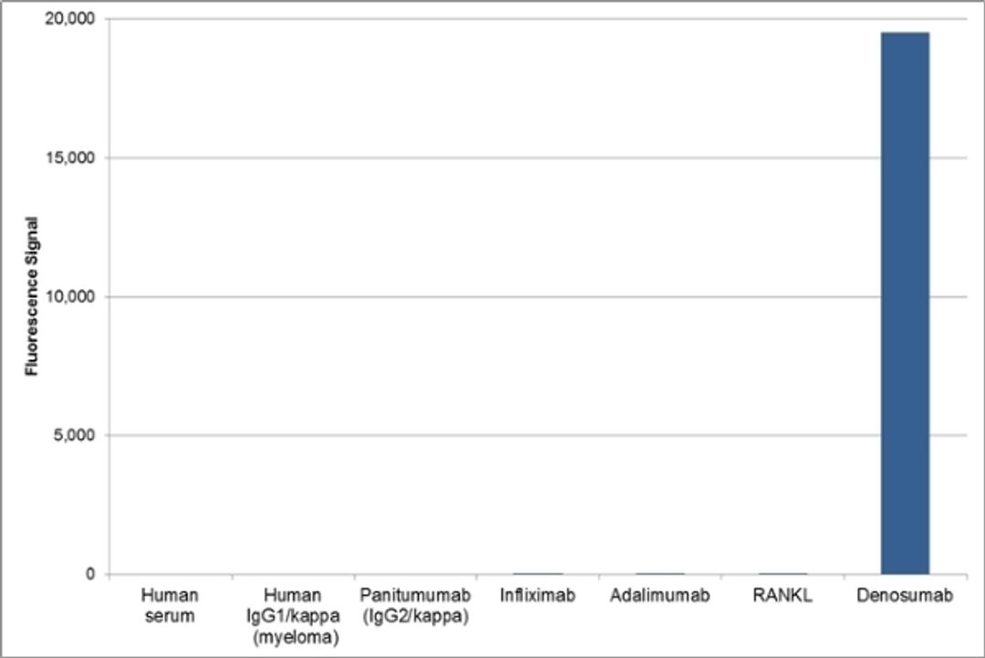 Human Anti-Denosumab Antibody specificity ELISA