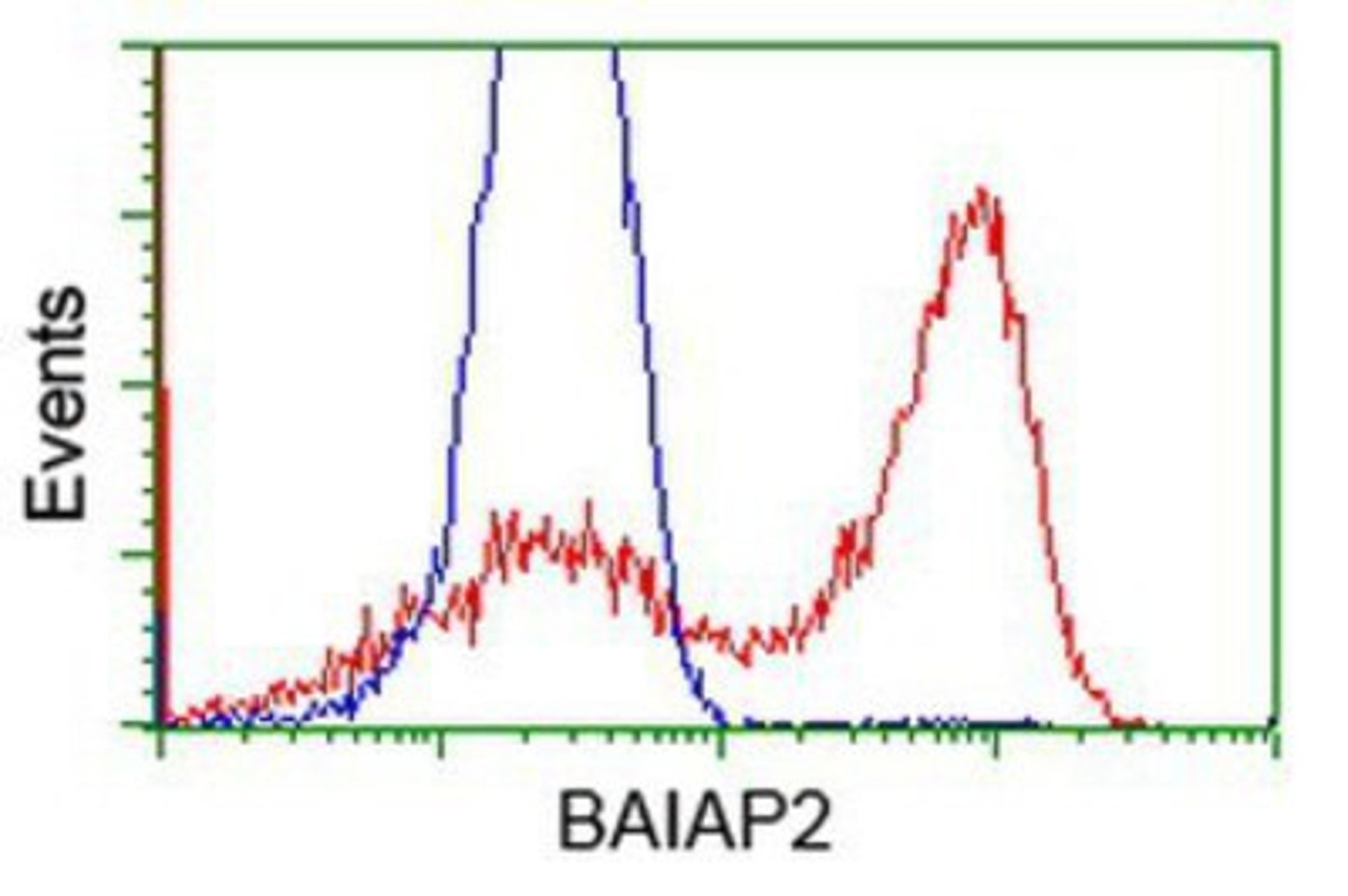 Flow Cytometry: BAIAP2 Antibody (1D9) [NBP2-00810] - HEK293T cells transfected with either overexpression plasmid (Red) or empty vector control plasmid (Blue) were immunostained by anti-BAIAP2 antibody, and then analyzed by flow cytometry.