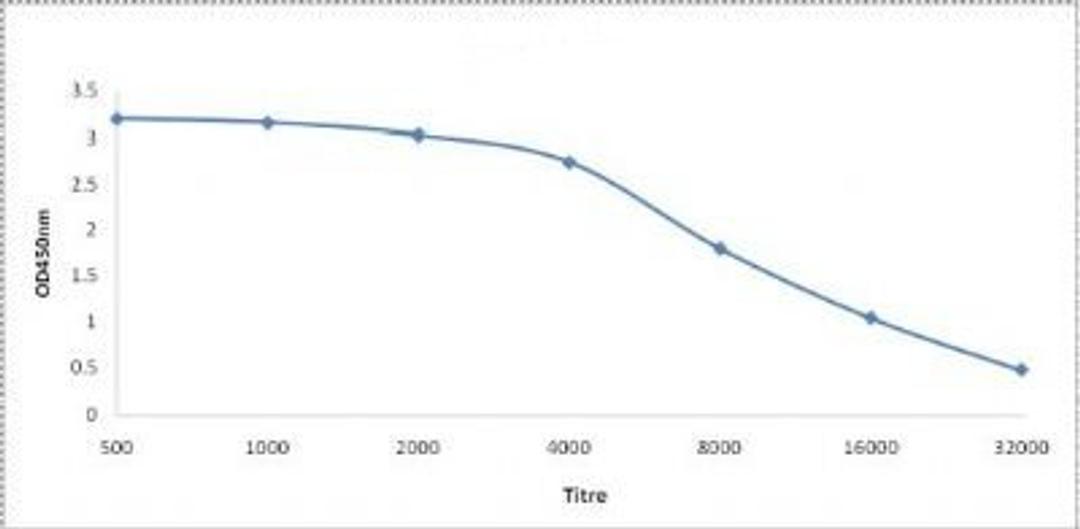 Line graph illustrates about the Ag-Ab reactions using different concentrations of antigen and serial dilutions of CPSF4 antibody