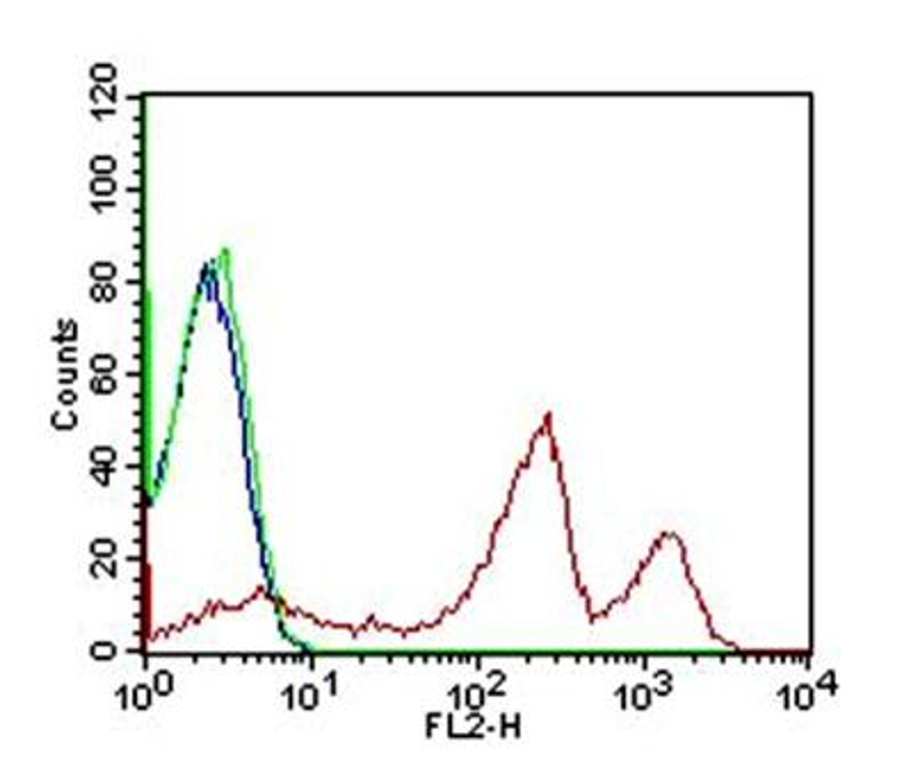 Flow Cytometry: Thrombomodulin/BDCA-3 Antibody (6C8.2F9) [NBP2-42213] - 1 million human PBMCs were immunostained with 1ug of Thrombomodulin/BDCA-3 antibody (clone 6C8.2F9) followed by detection via labelling with 0.5 ug of goat anti-mouse IgG-PE. Blue line represents cells alone, green line represents isotype control and shifted red line represents test purified antibody clone 6C8.2F9.