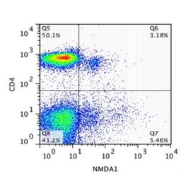 Flow Cytometry: NMDA receptor N1 Antibody [NB300-114] - CD4+ Lymphocytes expressing NMDAR1. Image provided by verified customer.