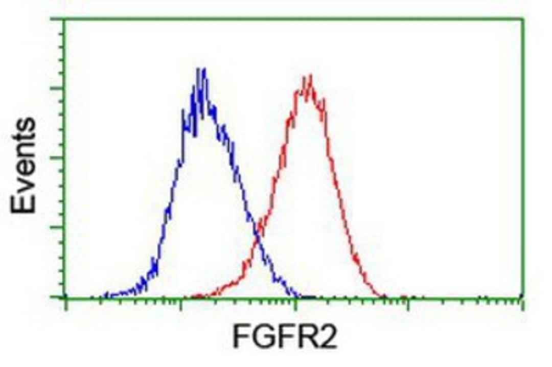 Flow Cytometry: FGFR2 Antibody (5C5) [NBP2-00932] - Analysis of Hela cells, using anti-FGFR2 antibody, (Red), compared to a nonspecific negative control antibody (Blue).