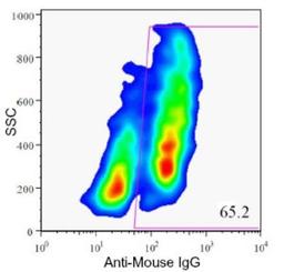 Flow Cytometry: HPi1 Antibody (HIC0-4F9) [NBP1-18872] - Flow Cytometric analysis of enzyme dispersed human pancreas cells.