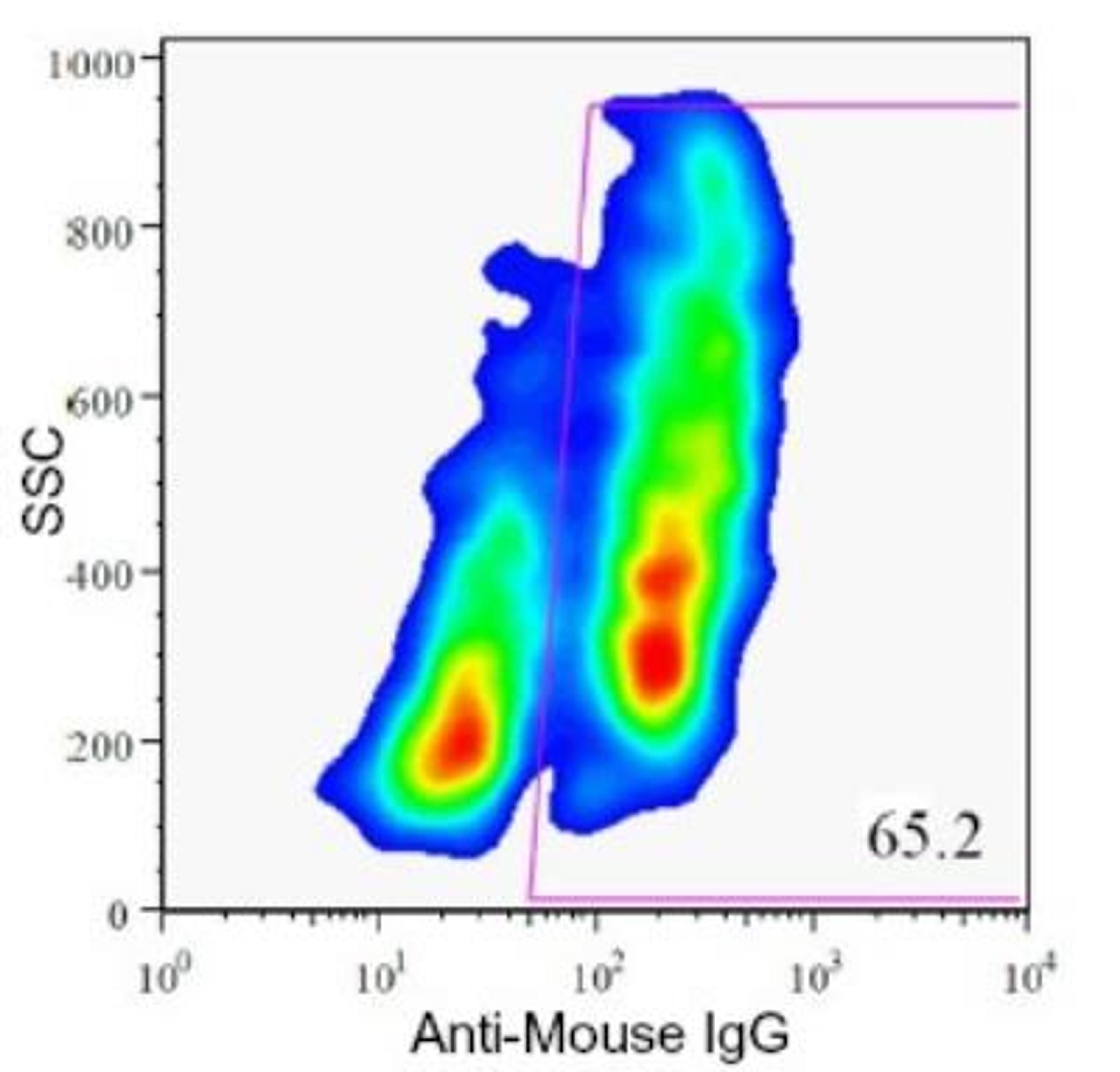 Flow Cytometry: HPi1 Antibody (HIC0-4F9) [NBP1-18872] - Flow Cytometric analysis of enzyme dispersed human pancreas cells.