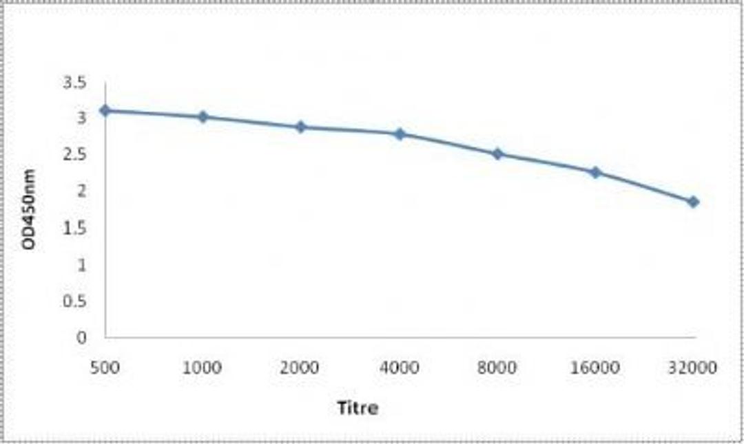 Line graph illustrates about the Ag-Ab reactions using different concentrations of antigen and serial dilutions of NPPC antibody