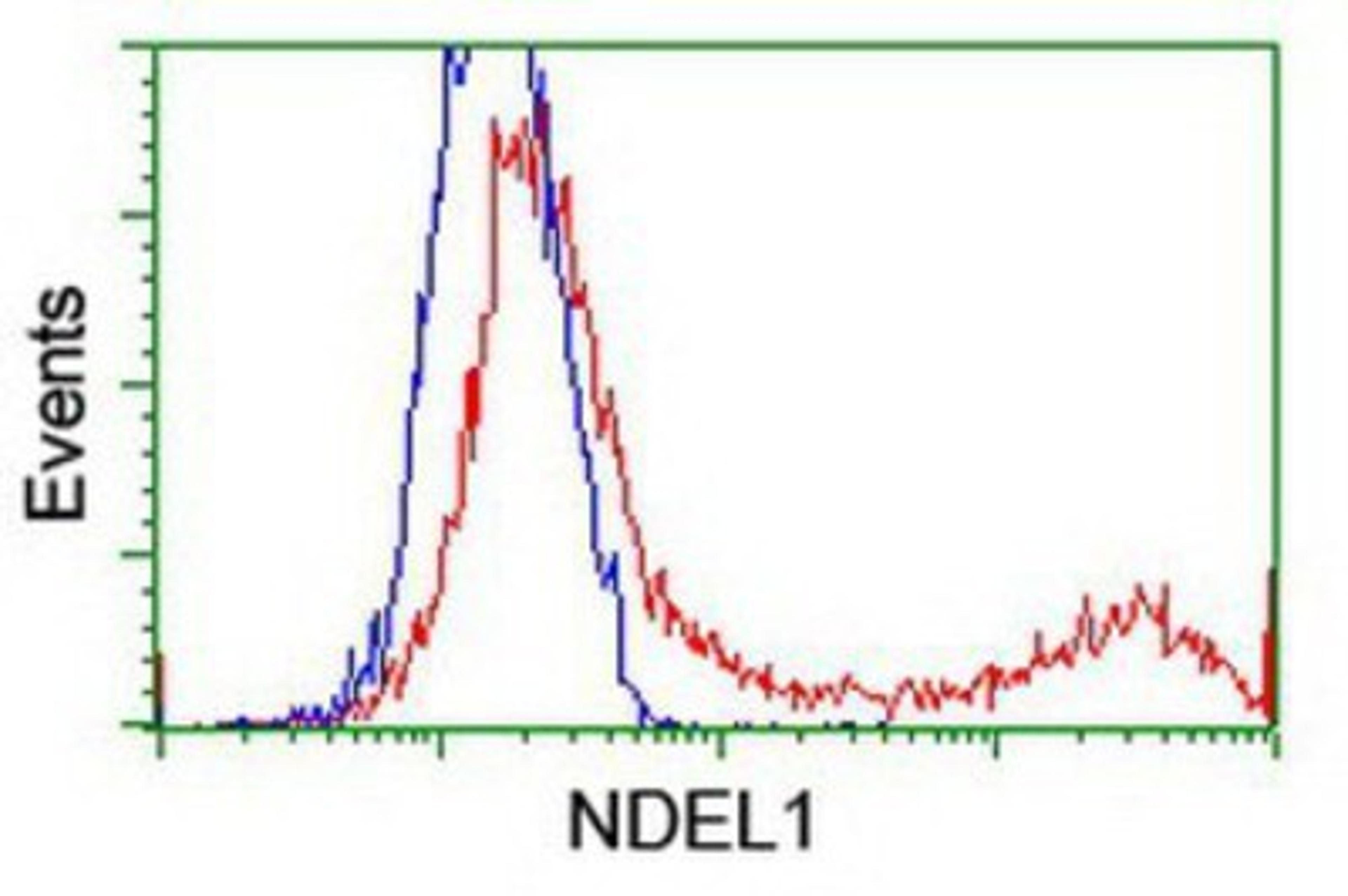 Flow Cytometry: Nudel Antibody (5E11) [NBP2-01086] - HEK293T cells transfected with either overexpression plasmid (Red) or empty vector control plasmid (Blue) were immunostained by anti-Nudel antibody, and then analyzed by flow cytometry.