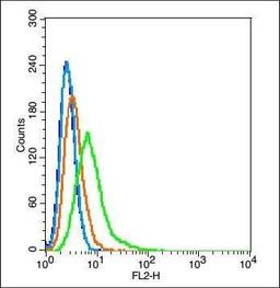 Flow cytometric analysis of Hela cells using CLECSF9 antibody.