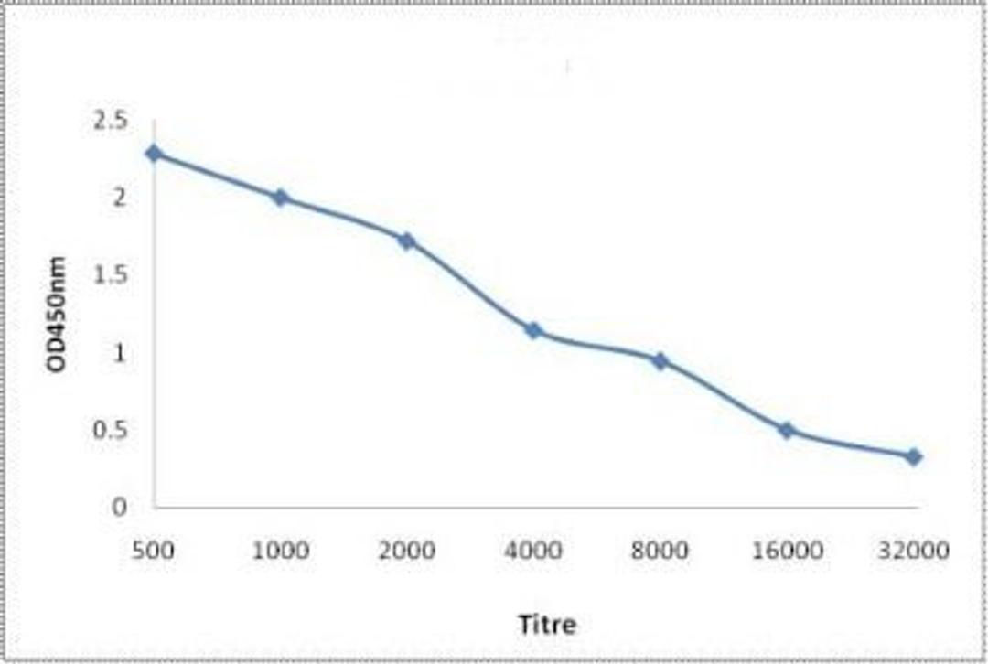 Line graph illustrates about the Ag-Ab reactions using different concentrations of antigen and serial dilutions of Dysferlin antibody