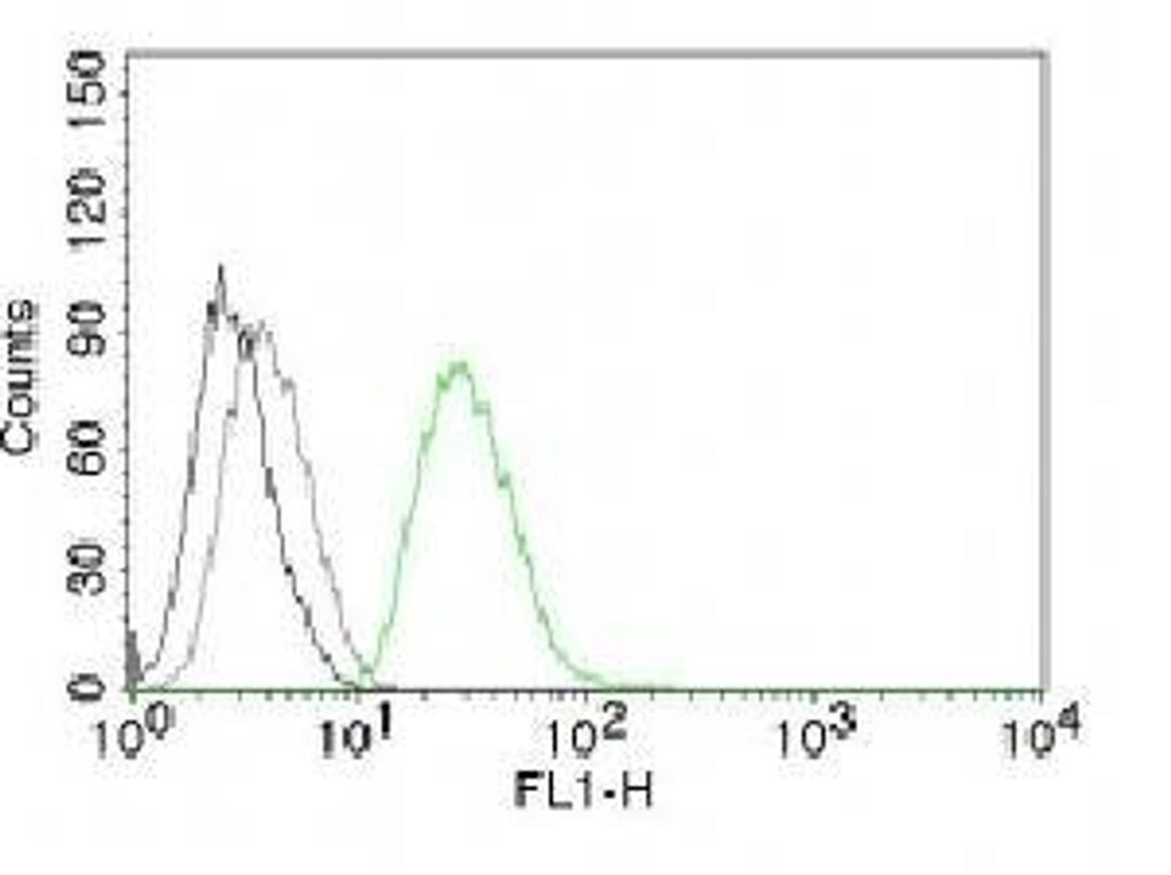 Flow cytometric analysis of PC3 Cell using ODC1 antibody