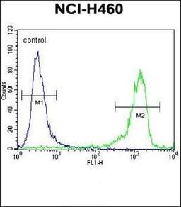 Flow cytometric analysis of NCI-H460 cells using DSCR1L1 antibody (primary antibody dilution at: 1:10-50)